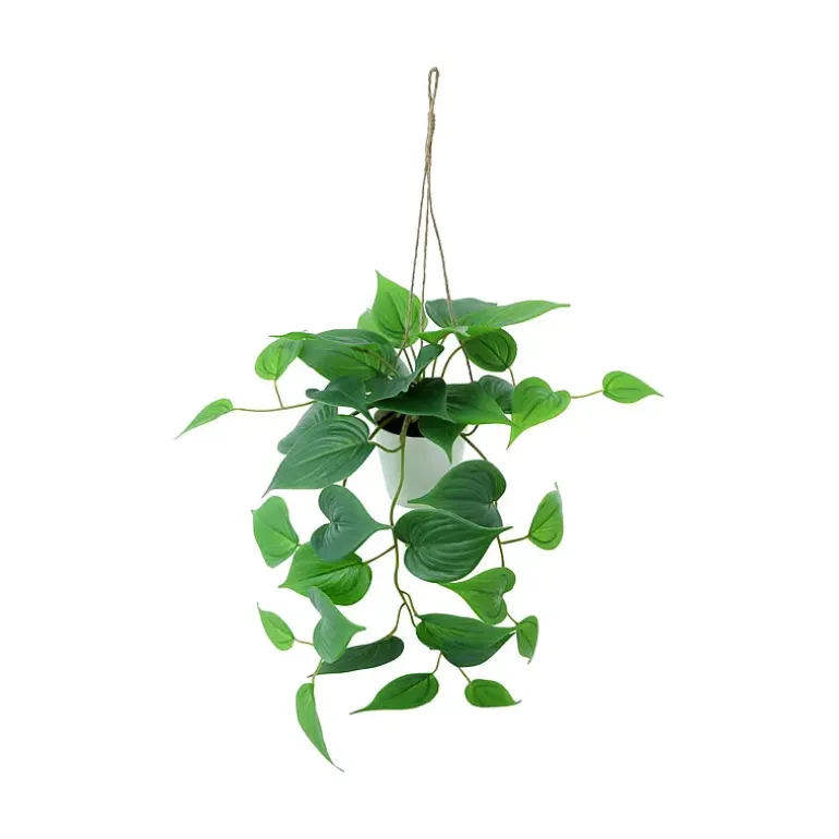 Hengeplante