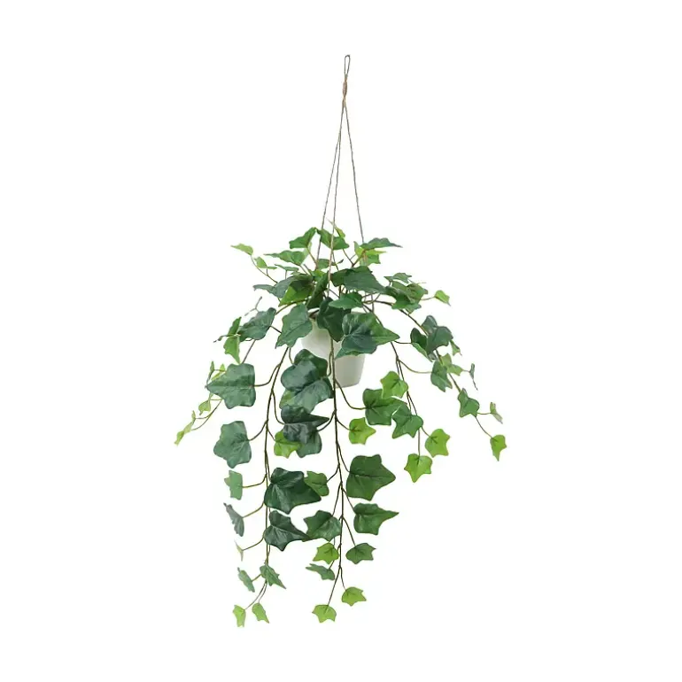 Hengeplante