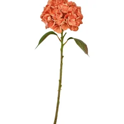 Hortensia