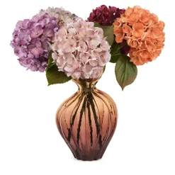 Hortensia