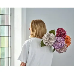 Hortensia