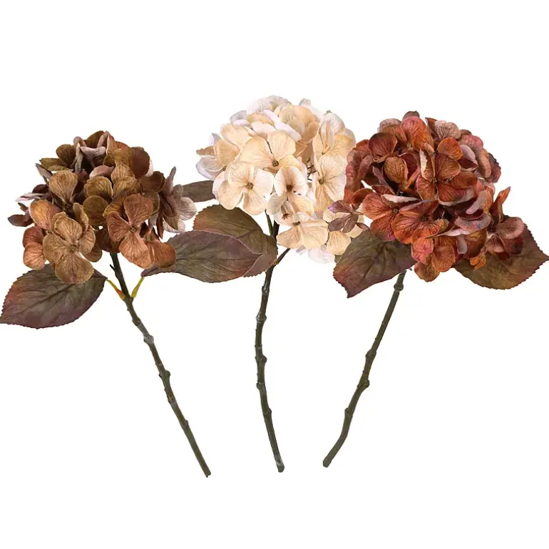 Hortensia gren