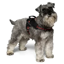Hundesele
