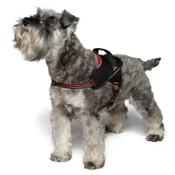 Hundesele