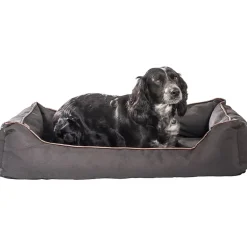 Hundeseng