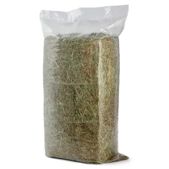 Høy