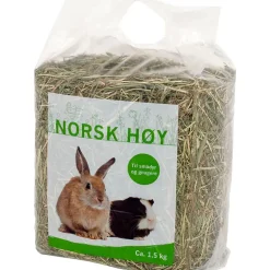 Høy