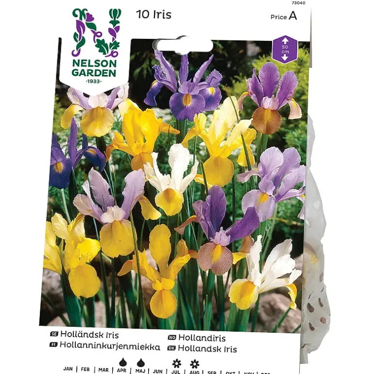 Iris