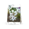 Ixia