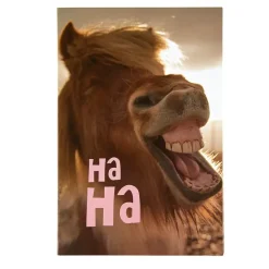 Kort