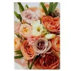 Kort