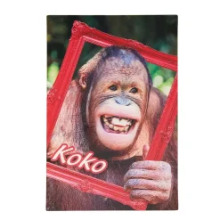 Kort 3D