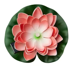 Lotus flyteblomst