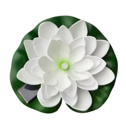 Lotus flyteblomst