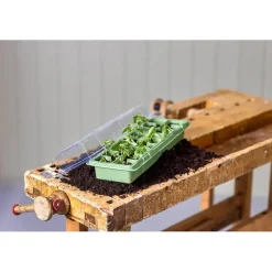 Minidrivhus