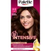 Palette Intensive