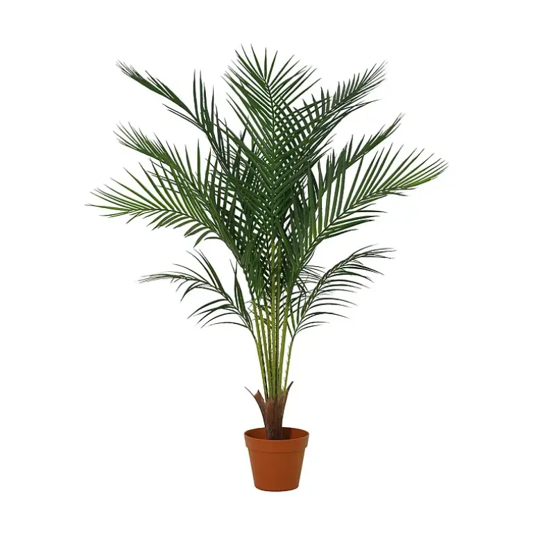 Palmetre