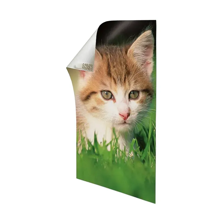 Plakatstrips 12-pk