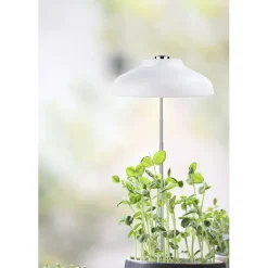 Plantelys