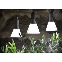 Plantelys