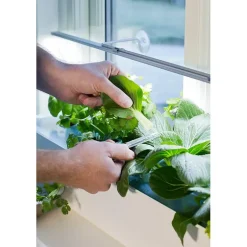 Plantelys 60 cm