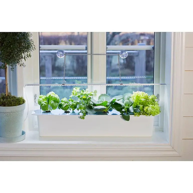 Plantelys 60 cm