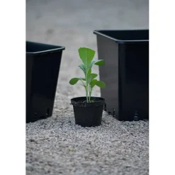 Plastpotte