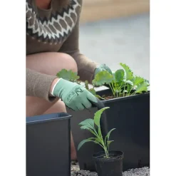 Plastpotte