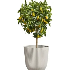 Potte ø 30 cm