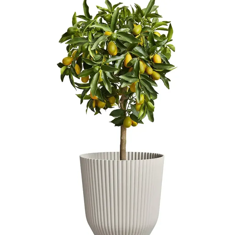 Potte ø 30 cm