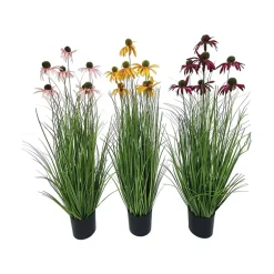 Prydgress plante