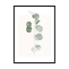 Ramme 50x70 cm