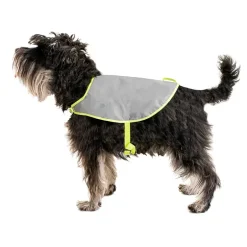 Refleksvest