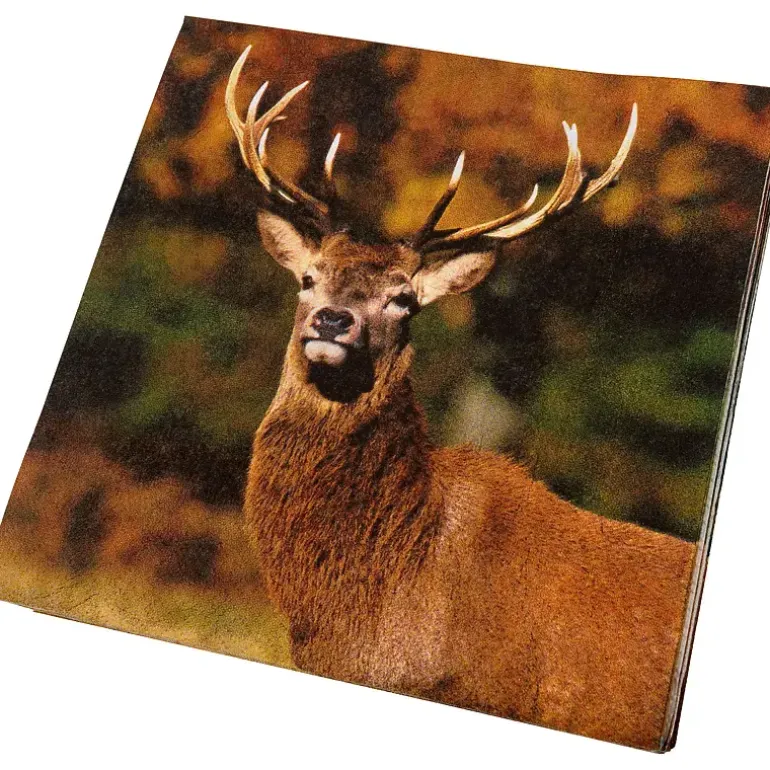Servietter 20-pk