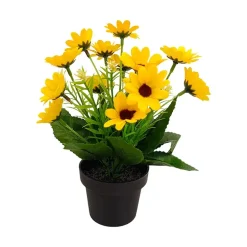 Småblomster