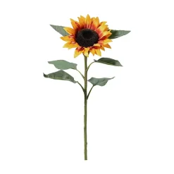 Solsikke