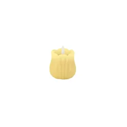 Tulipan