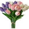 Tulipan