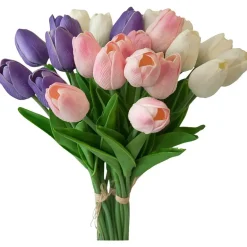 Tulipan