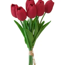 Tulipan