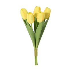 Tulipan 5-pk