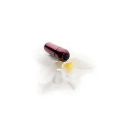 Vibrator mini