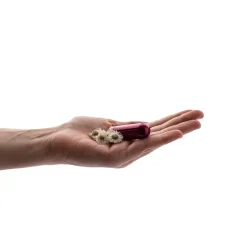 Vibrator mini