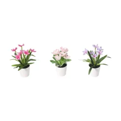 Vårblomst 3-pk