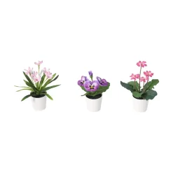 Vårblomst 3-pk